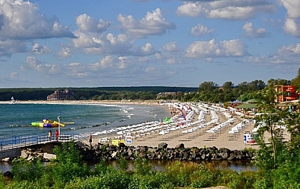 ID 2750 Green Paradise 2 Foto 2