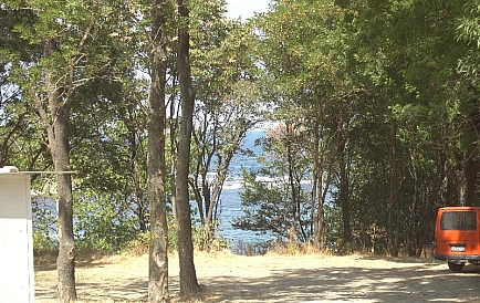 ID 4115 Vries Foto 2