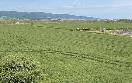 ID 8624 Studio-Wohnung in Sunny Day 5 Foto 8