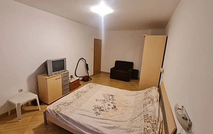 ID 14897 Голден Дримс Foto 8