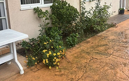 ID 14972 Zweizimmerwohnung in Balkan Breeze 2 Foto 5