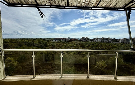 ID 14603 Zweizimmerwohnung in Jolly Foto 7