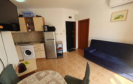 ID 15386 Санни Дей 3 Foto 8