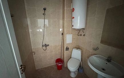 ID 15435 Санни Дей 5 Foto 4