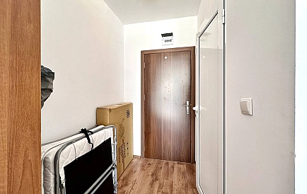 ID 15062 Гербер 4 Foto 9