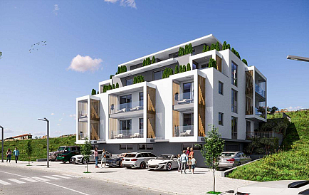 ID 14800 Маэстра Сол Foto 1 