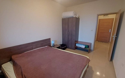 ID 14981 Сан Флауер Foto 8