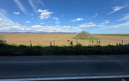 ID 15435 Санни Дей 5 Foto 10