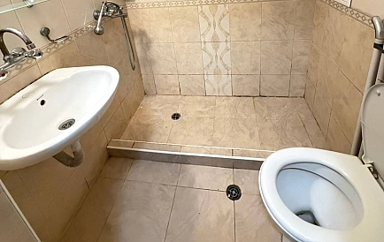 ID 15515 Гербер 4 Foto 3