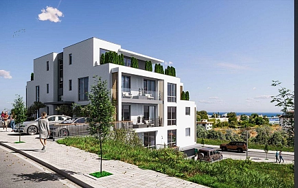 ID 14800 Маэстра Сол Foto 5