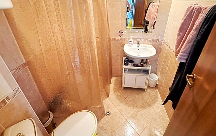 ID 15596 Санни Дей 3 Foto 5
