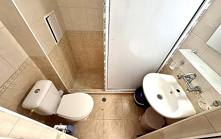 ID 15062 Гербер 4 Foto 4