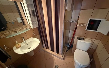 ID 15203 Гардения Хилз Foto 4