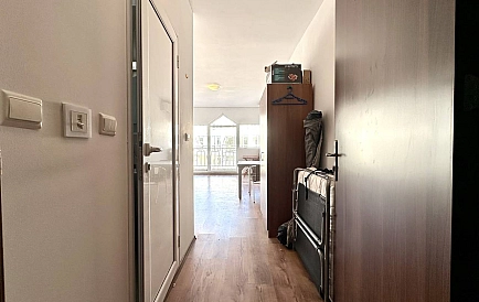 ID 15062 Гербер 4 Foto 7