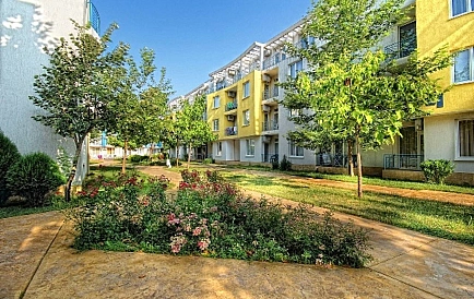 ID 15210 Санни Дей 3 Foto 5