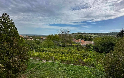 ID 13124 Haus in Detelina Foto 10