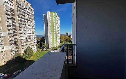 ID 14760 Зорница Foto 5