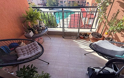 ID 14818 Стар Дриймс Foto 5