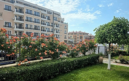 ID 16091 Studio-Apartment in Sorrento Sole Mare Foto 6