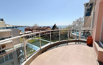 ID 15495 Оазис Foto 5