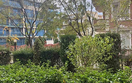 ID 14972 Zweizimmerwohnung in Balkan Breeze 2 Foto 10