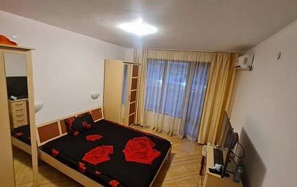 ID 14897 Голден Дримс Foto 2