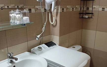 ID 15184 Гранд Камелия Foto 4