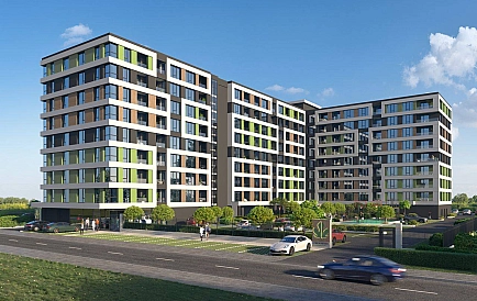 ID 14873 Смокините 5 Foto 4