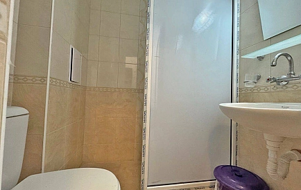 ID 15335 Гербер 4 Foto 4