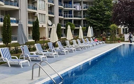 ID 15495 Оазис Foto 6