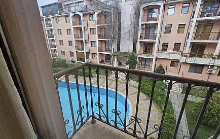 ID 15594 Гардения Foto 5