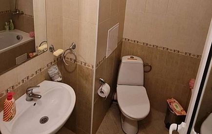 ID 14897 Голден Дримс Foto 7