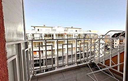 ID 15062 Гербер 4 Foto 5