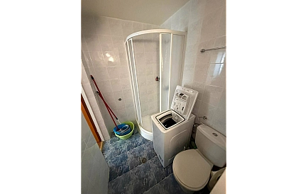 ID 15271 Рэинбоу Foto 10