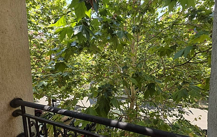 ID 15995 0 Foto 7