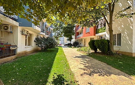 ID 16242 Zweizimmerwohnung in Sunny Day 3 Foto 2