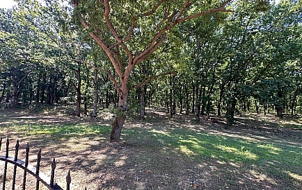 ID 6915 Wohnungen vom Bauherrn in Primosko Foto 6