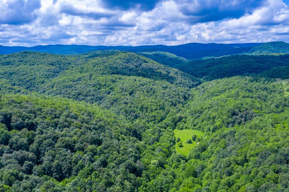 Die bewaldeten Rhodopen – ein Symbol Bulgariens