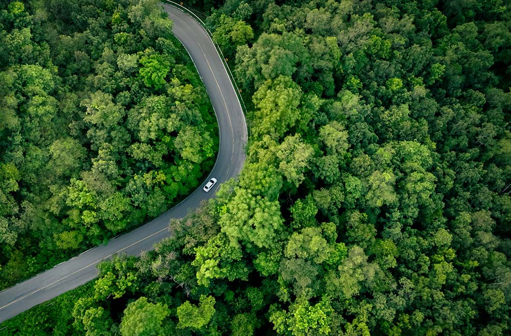 Transportwege von Finnland nach Bulgarien Luftaufnahme einer kurvenreichen Straße durch dichten Wald, die die Transportwege zwischen finnischen und bulgarischen Städten veranschaulicht